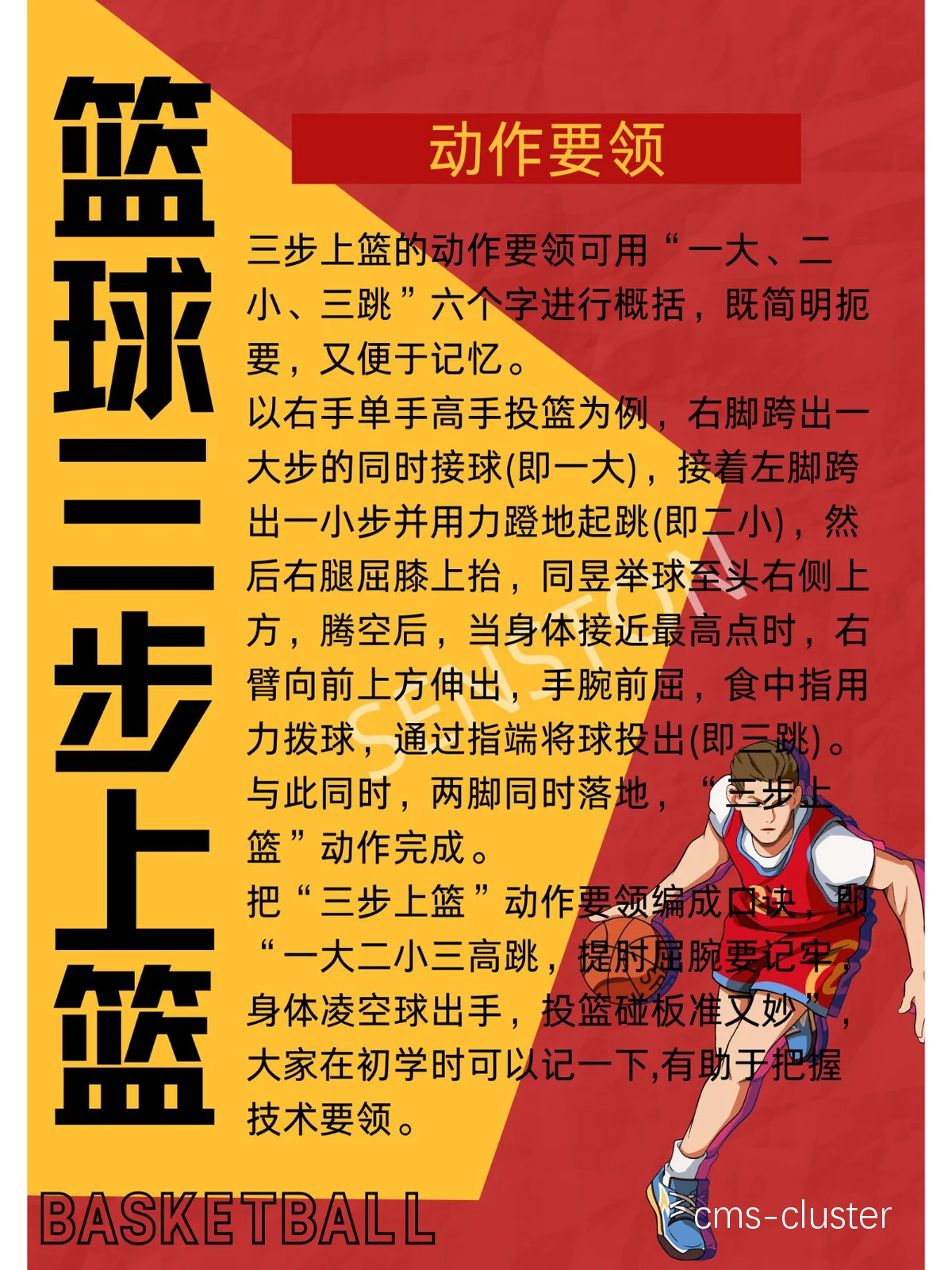 哪里可以找到适合初学者的篮球训练活动